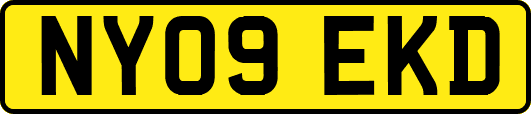 NY09EKD