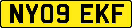 NY09EKF