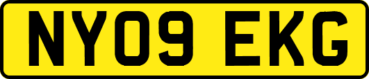 NY09EKG