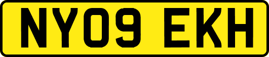 NY09EKH