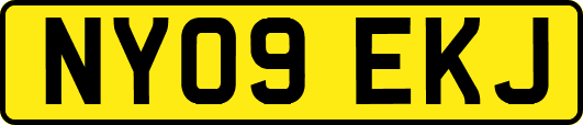 NY09EKJ