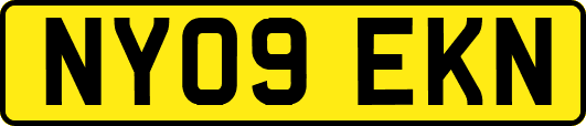 NY09EKN