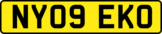 NY09EKO