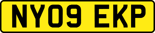 NY09EKP