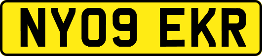 NY09EKR