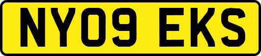 NY09EKS
