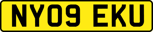 NY09EKU