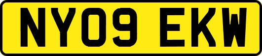 NY09EKW