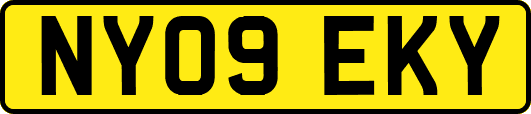 NY09EKY