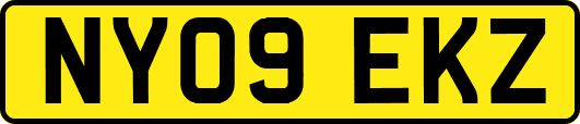 NY09EKZ