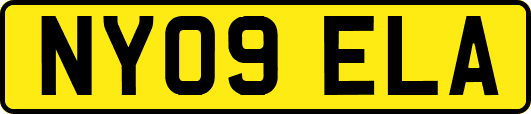 NY09ELA
