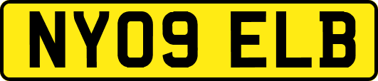 NY09ELB