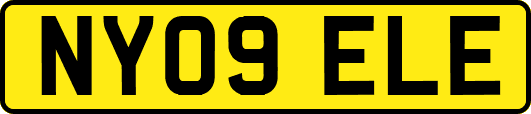 NY09ELE
