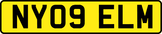NY09ELM