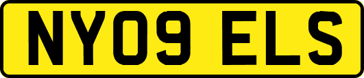 NY09ELS