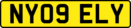 NY09ELY