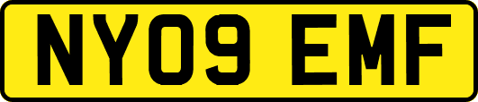 NY09EMF