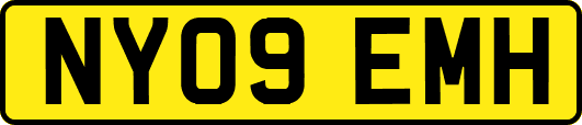 NY09EMH