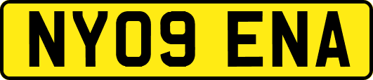 NY09ENA