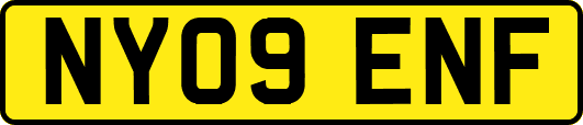 NY09ENF