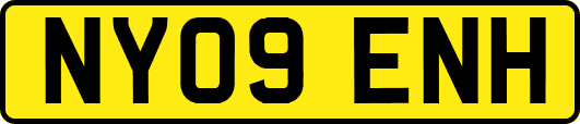 NY09ENH