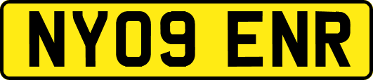 NY09ENR