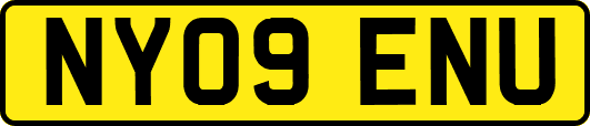 NY09ENU