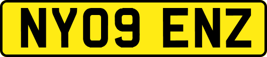NY09ENZ
