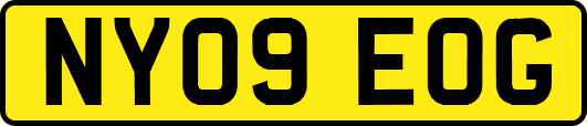 NY09EOG