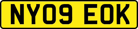 NY09EOK
