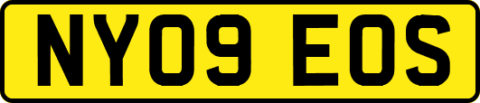 NY09EOS
