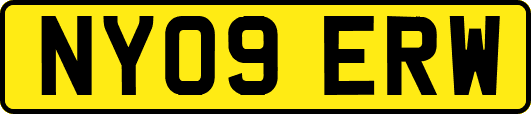 NY09ERW
