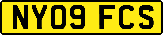 NY09FCS