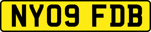 NY09FDB