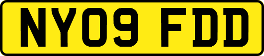 NY09FDD