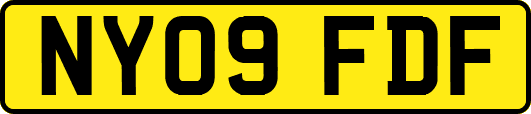 NY09FDF