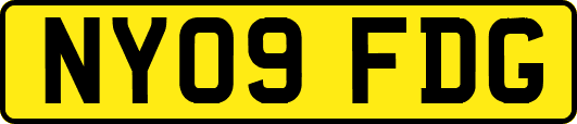 NY09FDG