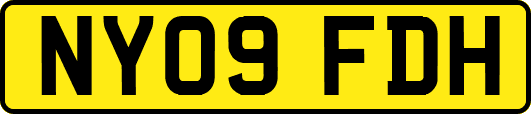 NY09FDH
