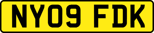 NY09FDK