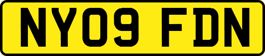 NY09FDN