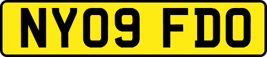 NY09FDO