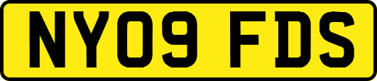 NY09FDS