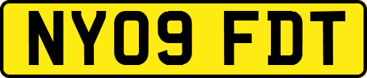 NY09FDT