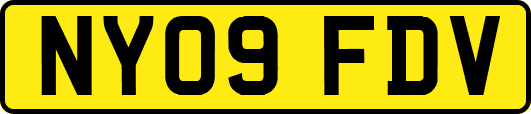 NY09FDV