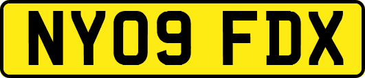 NY09FDX