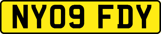 NY09FDY
