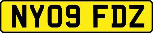 NY09FDZ