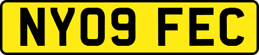 NY09FEC