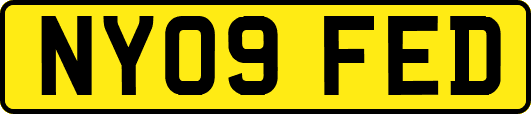 NY09FED