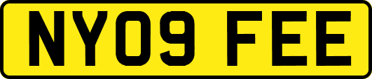 NY09FEE